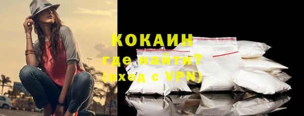тгк Абаза