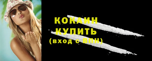 тгк Абаза