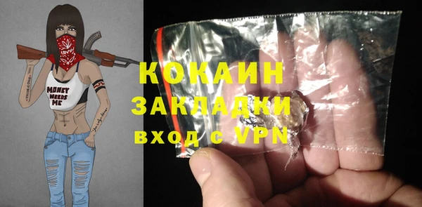 молекула духа Алексеевка