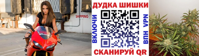 Бошки марихуана Ganja  Прохладный 